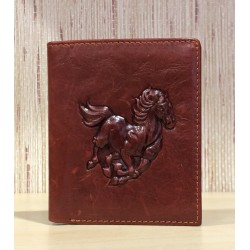 CARTERA PIEL